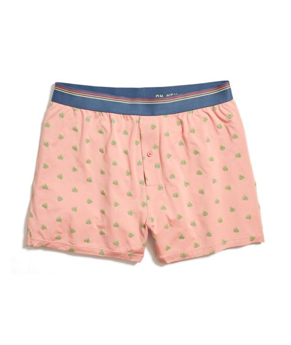 Best Boxers Ever in Agave Print