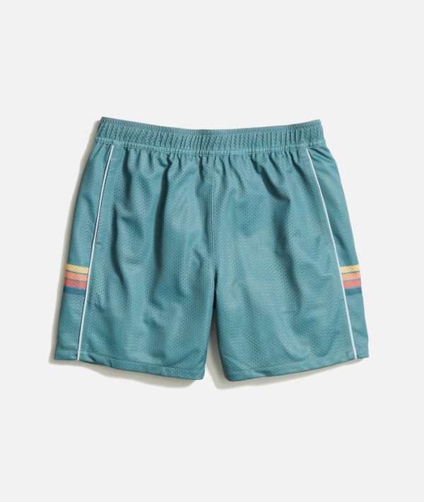 6" Mesh Short