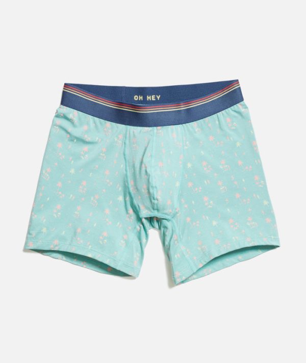 Best Boxer Briefs Ever