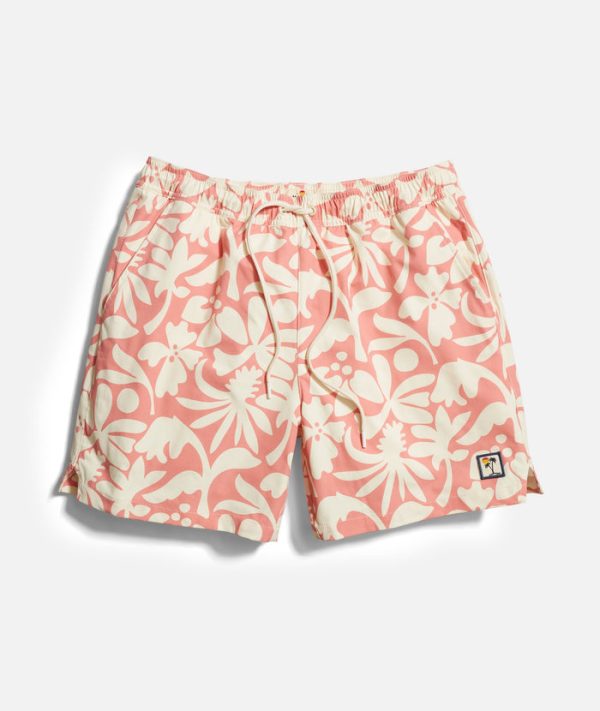 Stretch Swim Trunk 6"