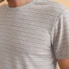 Re-Spun Stripe Crew in Heather Grey Multi Stripe - Image 4