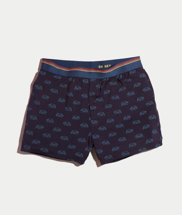 Best Boxers Ever in Bear Print