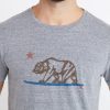 California Bear Graphic in Grey - Image 3
