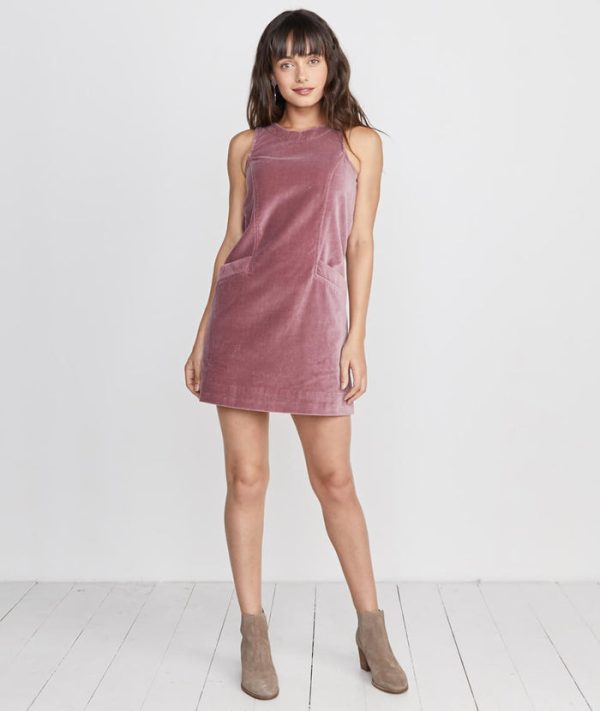 Cizon Velvet Shift Dress in Mauve